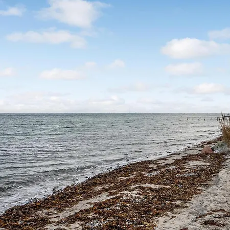 Amazing In With Kitchen Nyaraló